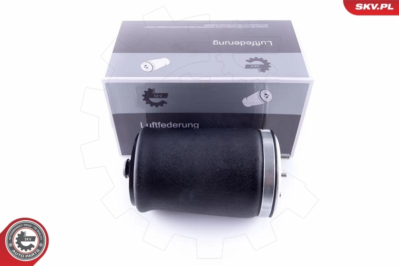Air Spring, suspension